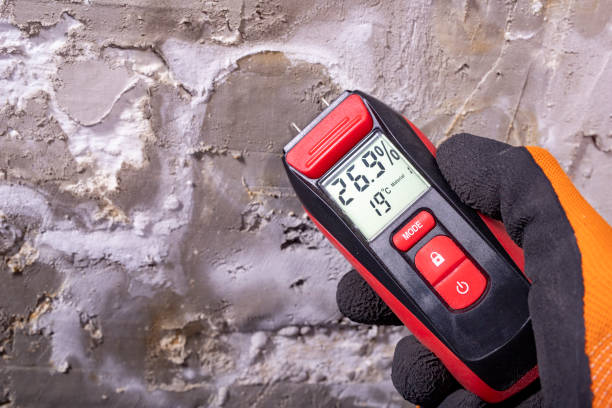 Best Mold Testing and Inspection Services in Greenfield, IL