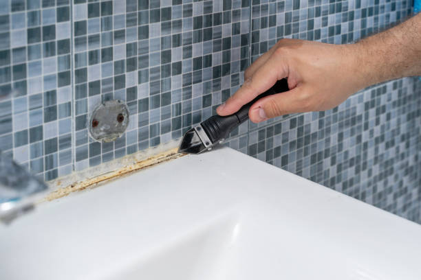 Best Localized Mold Remediation (e.g., coastal areas, humid climates) in Greenfield, IL